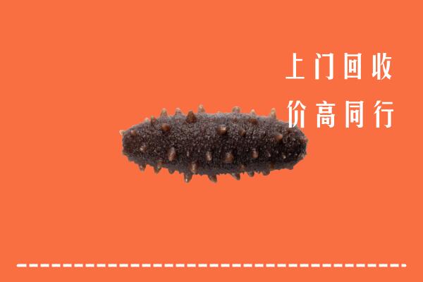 建安区高价回收海参
